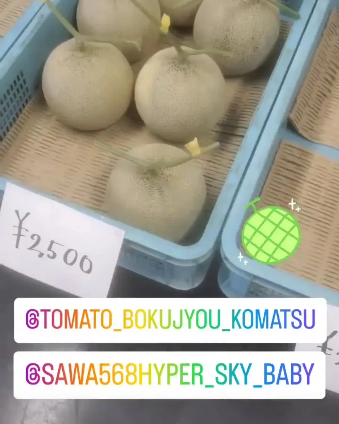 トマト農家のメロン