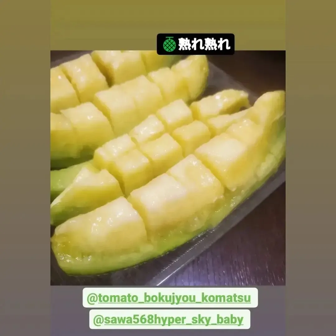 ８月のメロン小屋情報