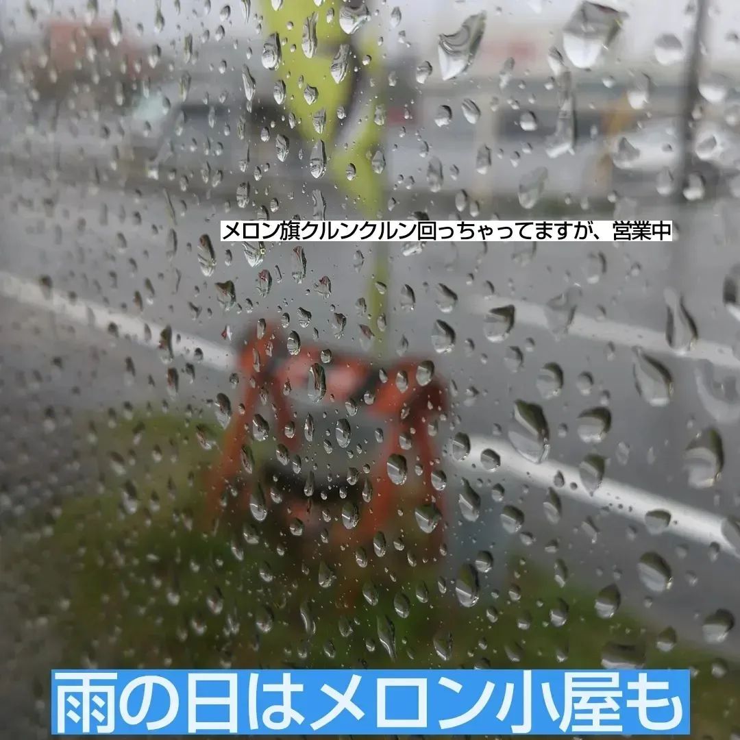 雨ですが、営業中