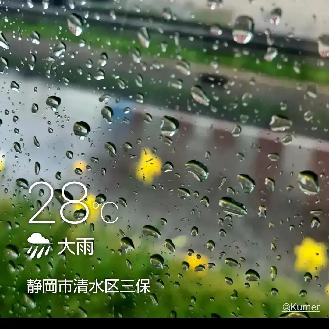 昨日の大雨