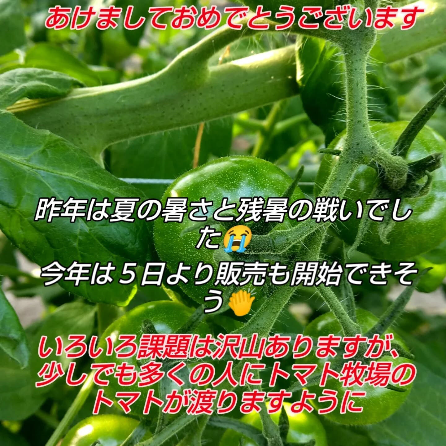 明けましておめでとうございます。