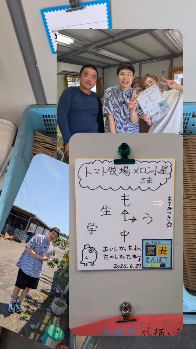 メロン小屋とトマト牧場の畑に