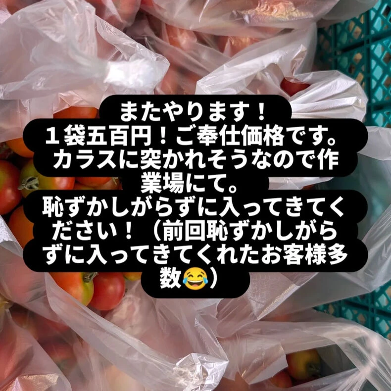 画像1912：2026.04.18