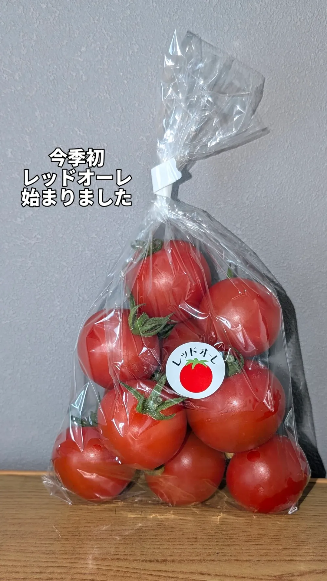 ２０２６.１０.６ 自販機販売開始！！