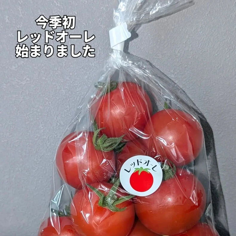 画像1946：ブログ