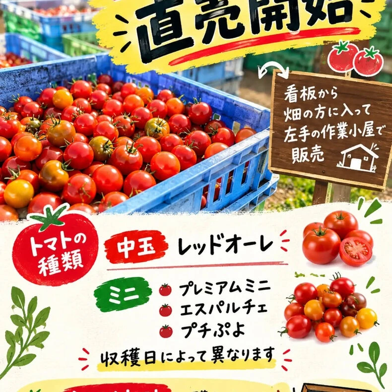 画像1950：ブログ