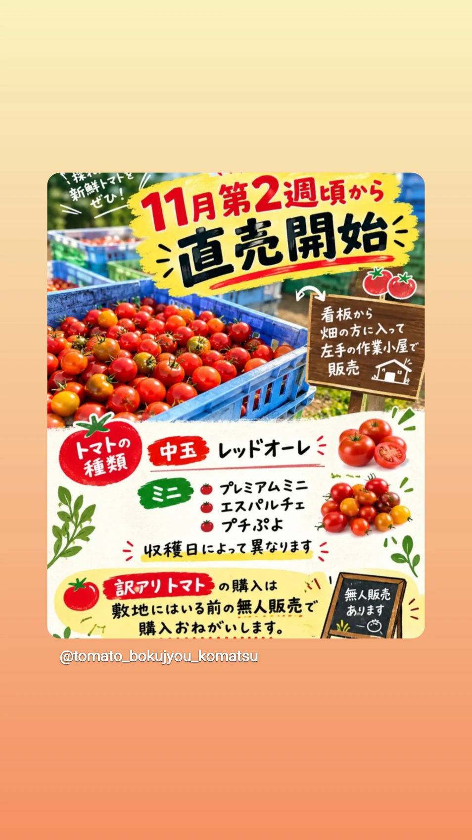 直売所