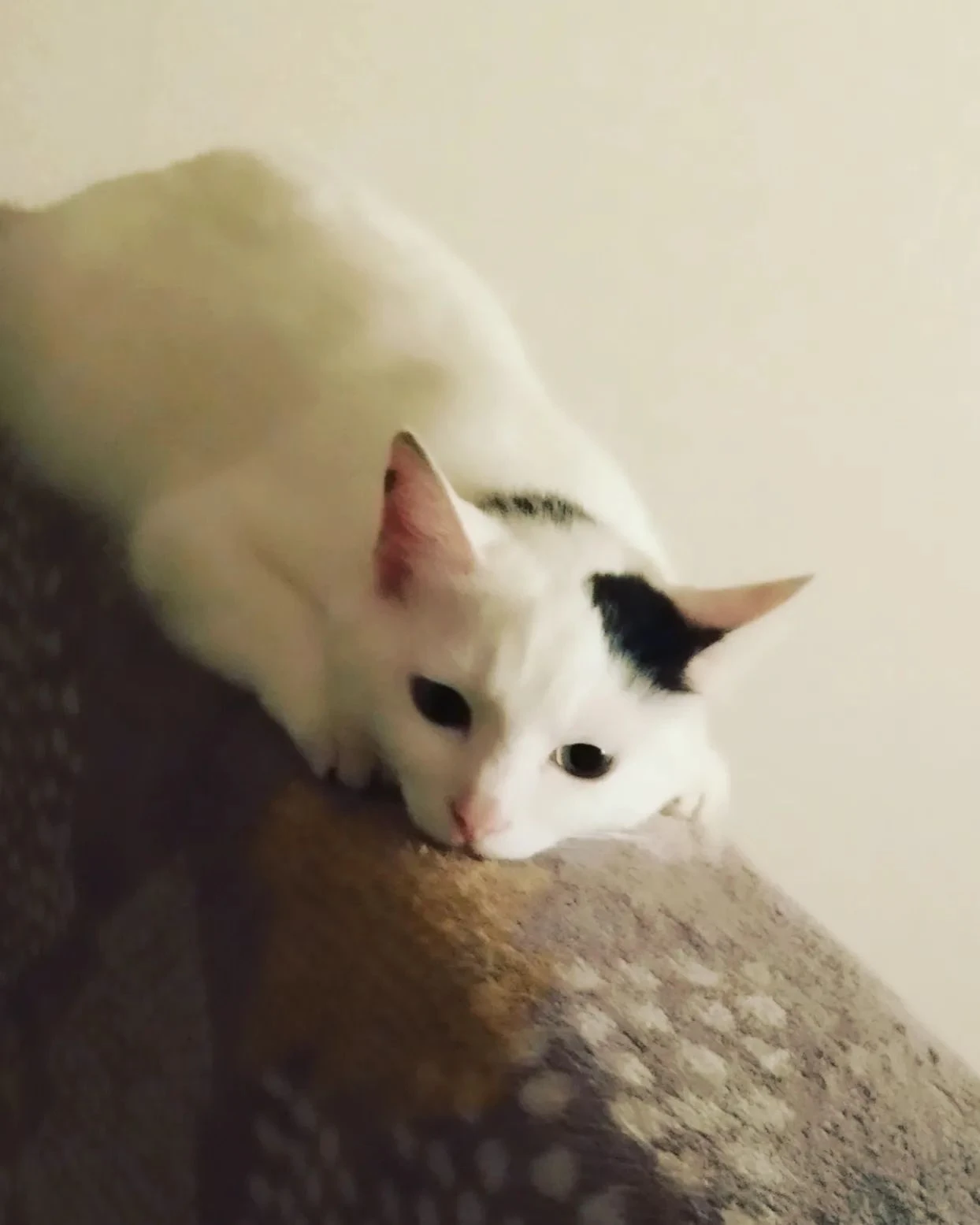 20230616074937_0_1.jpg