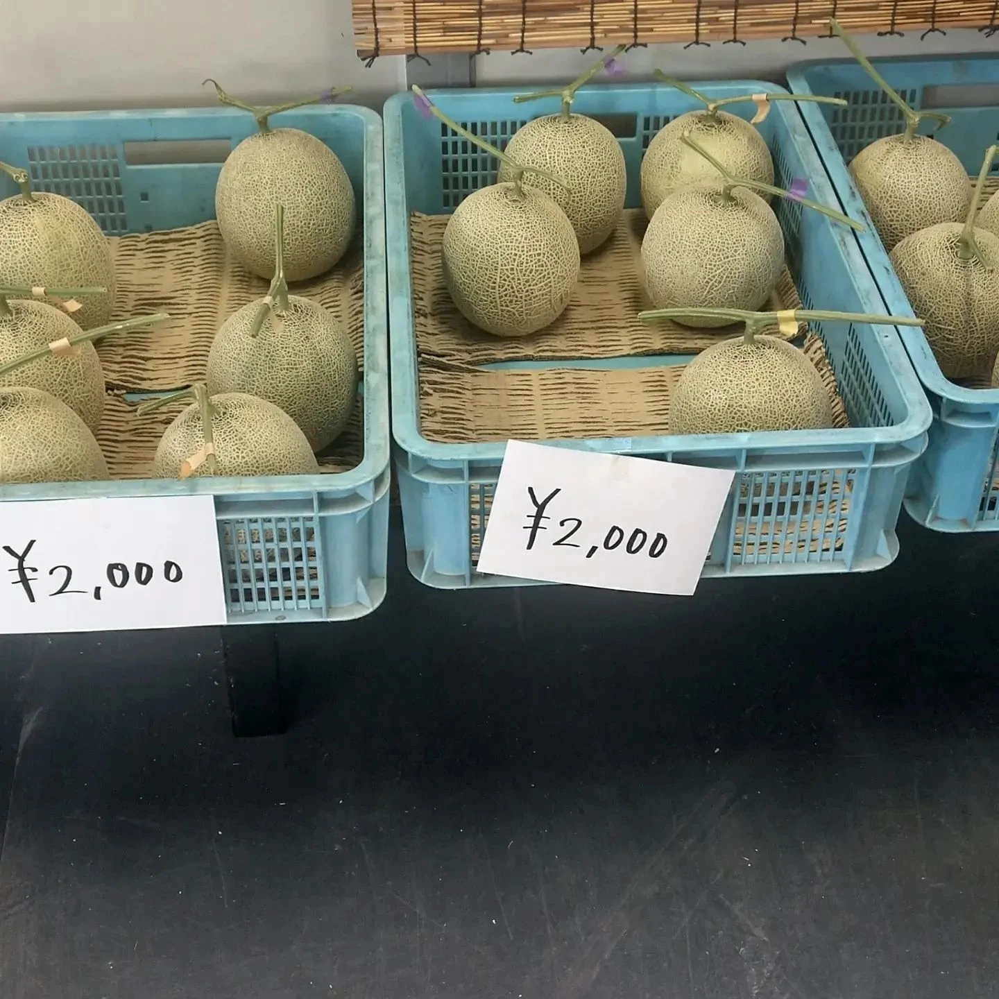 7月のメロン