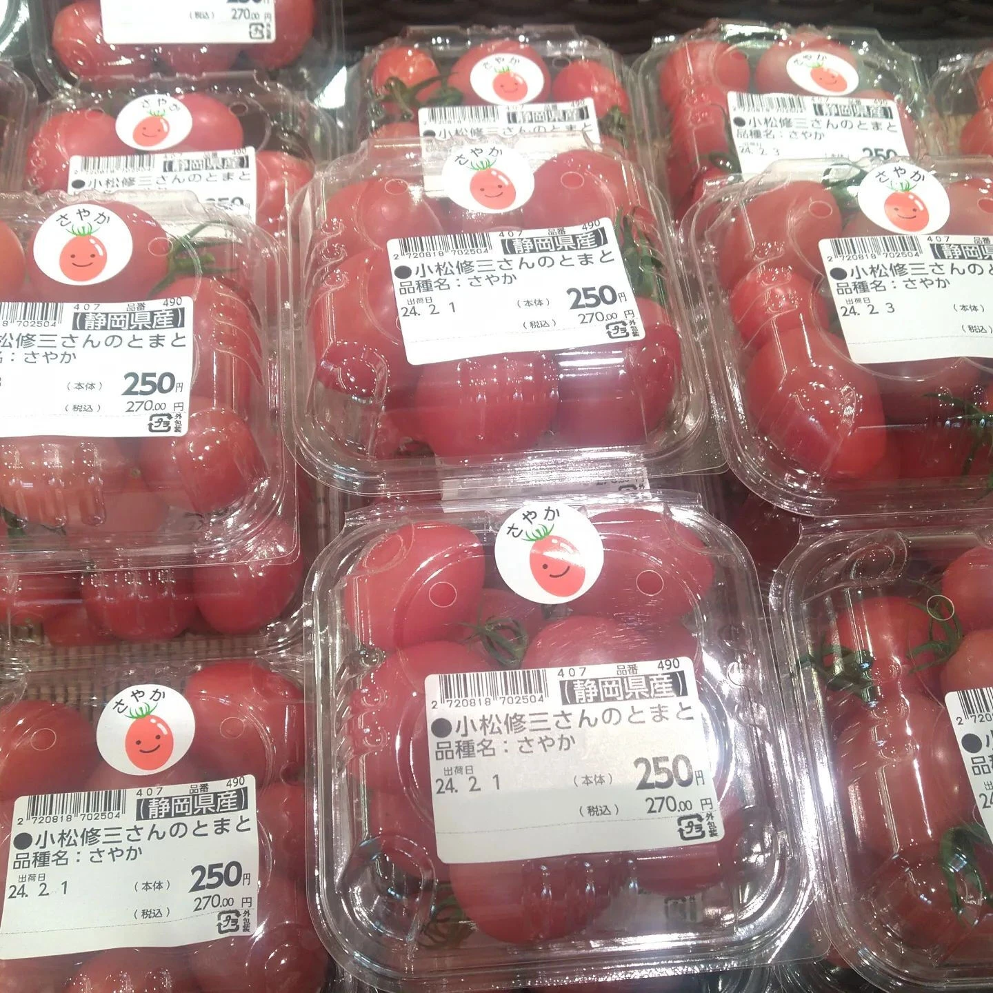 ミニ系のトマトが濃厚になってきています。
