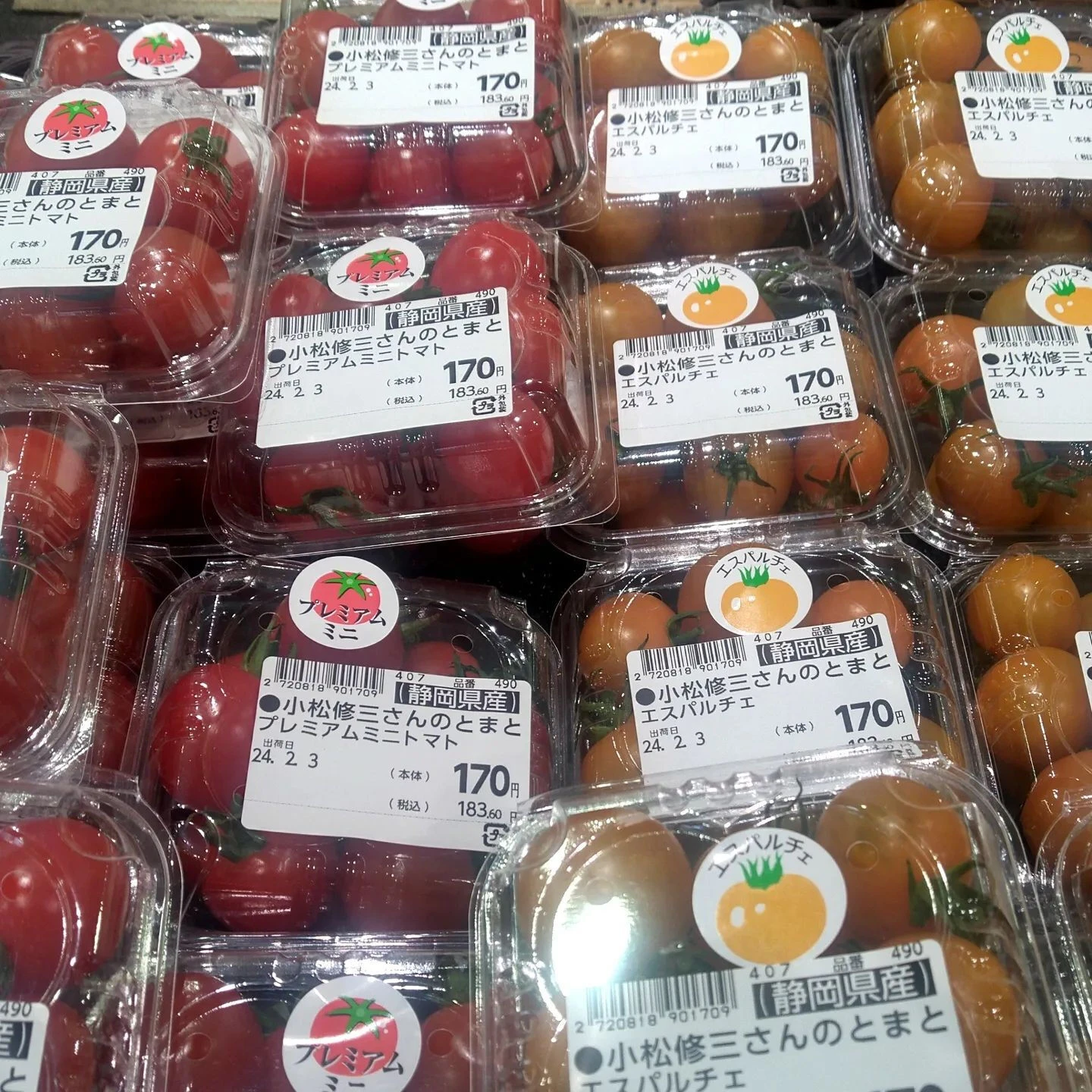 ミニ系のトマトが濃厚になってきています。