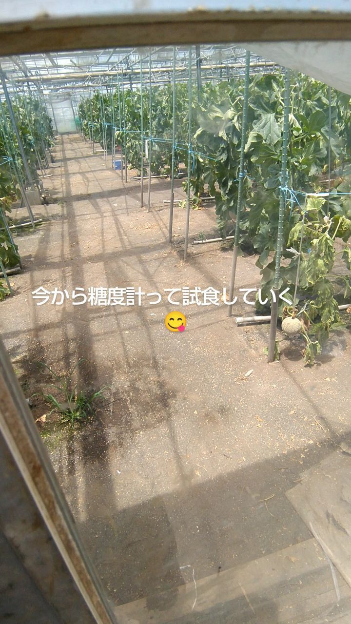 トマト牧場メロン小屋